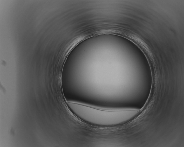 X0000091101193200708061015