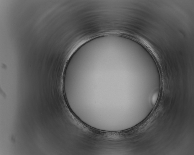 X0000091101194200708061015