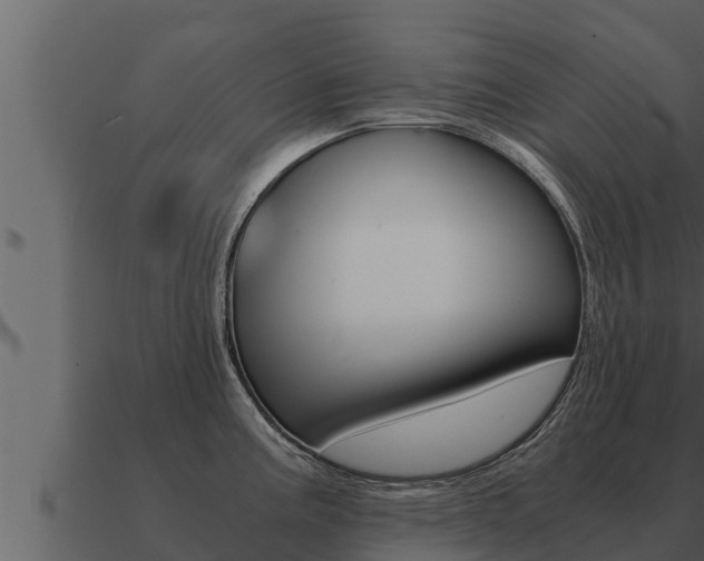 X0000091101195200708061015