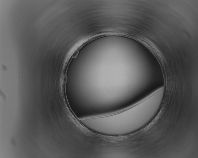 X0000091101196200708061015