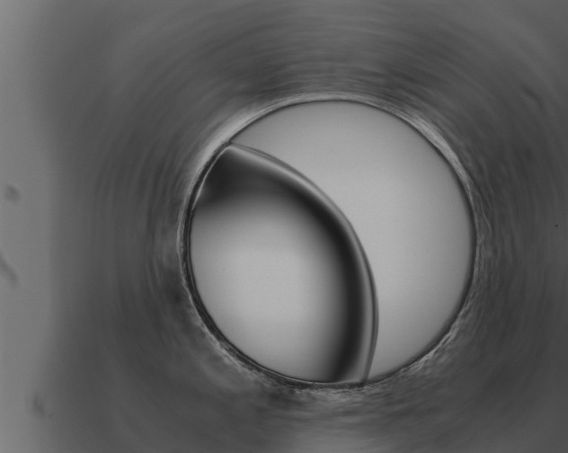 X0000091101197200708061015