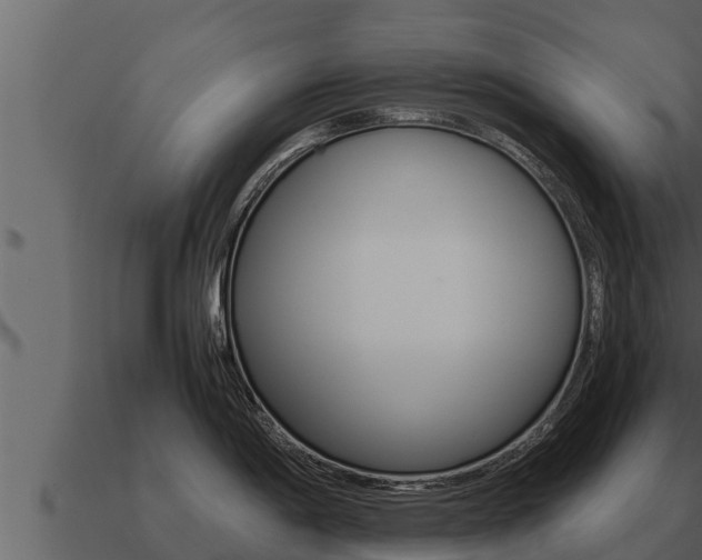 X0000091101198200708061015