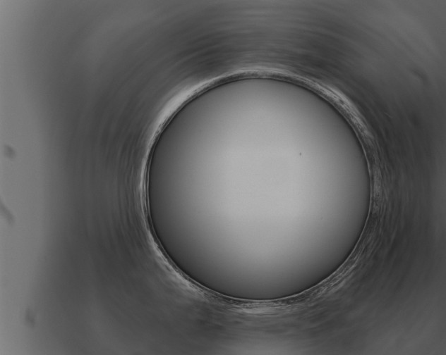 X0000091101199200708061015