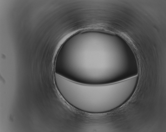 X0000091101200200708061015