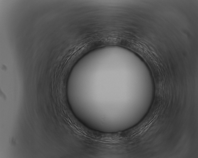 X0000091101201200708061014