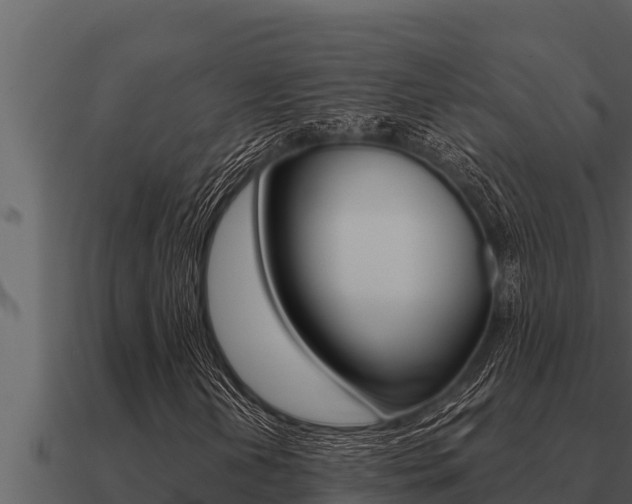 X0000091101202200708061014