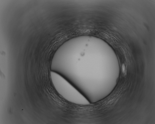 X0000091101203200708061014