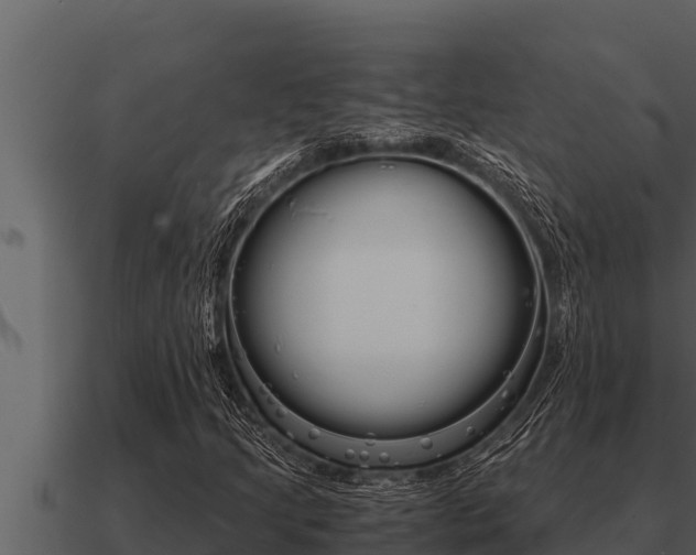 X0000091101205200708061014