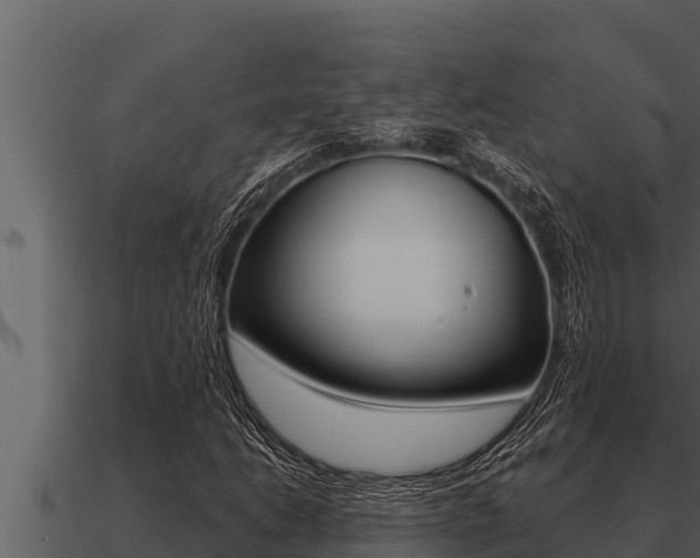 X0000091101206200708061014