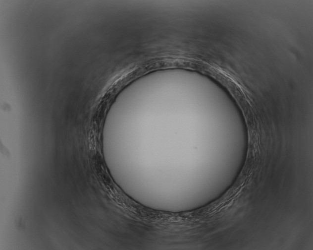 X0000091101207200708061014
