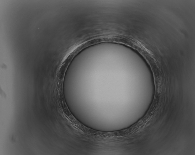X0000091101208200708061014