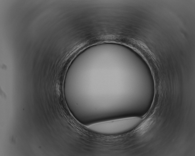 X0000091101209200708061014