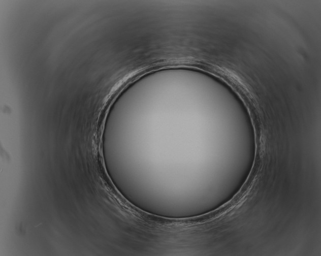 X0000091101212200708061014