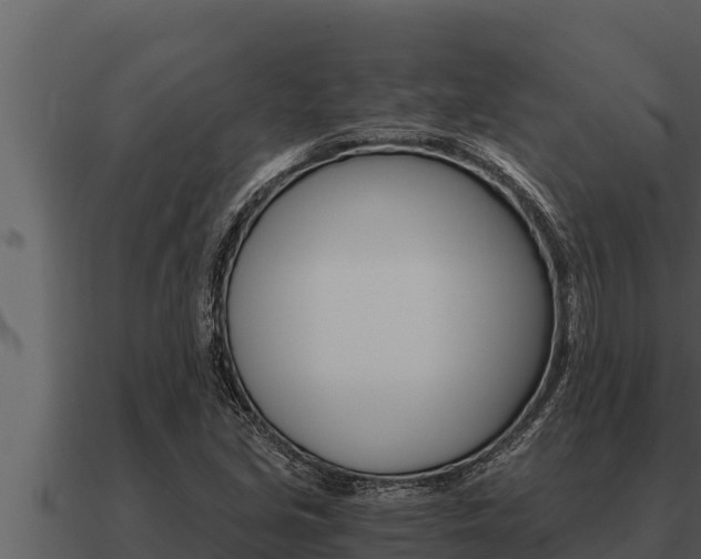 X0000091101213200708061014