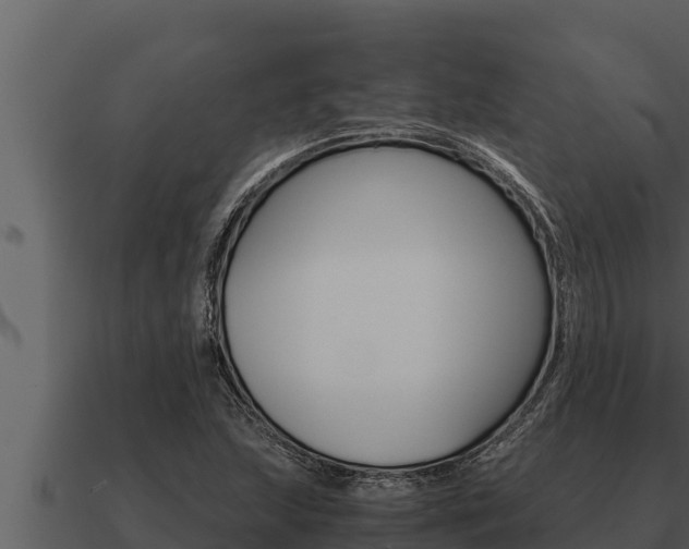 X0000091101215200708061014