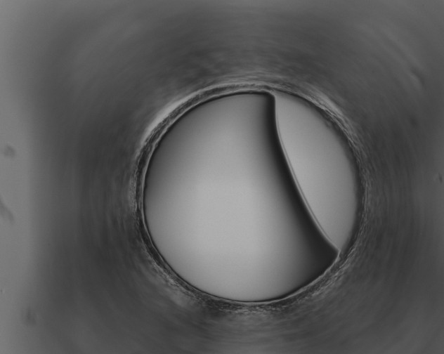 X0000091101216200708061015