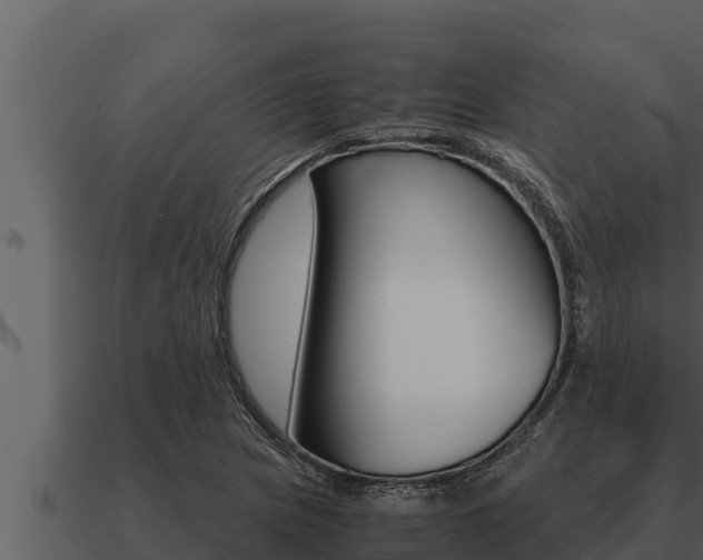 X0000091101217200708061015