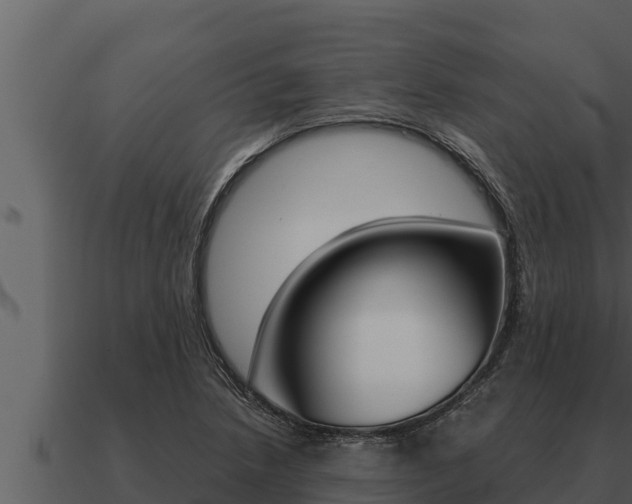 X0000091101218200708061015