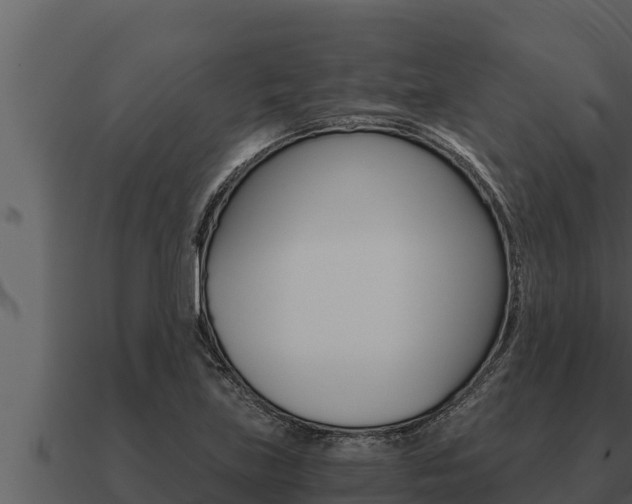 X0000091101219200708061015