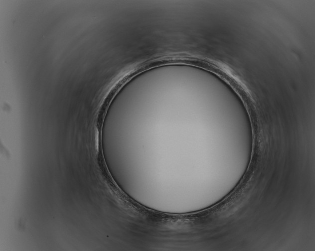 X0000091101221200708061015