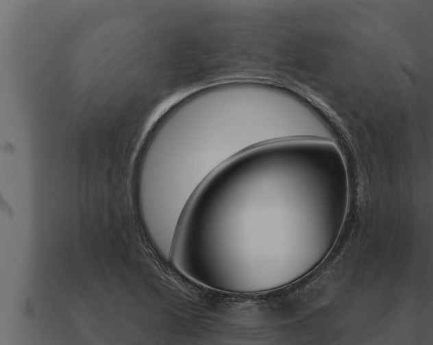 X0000091101222200708061015