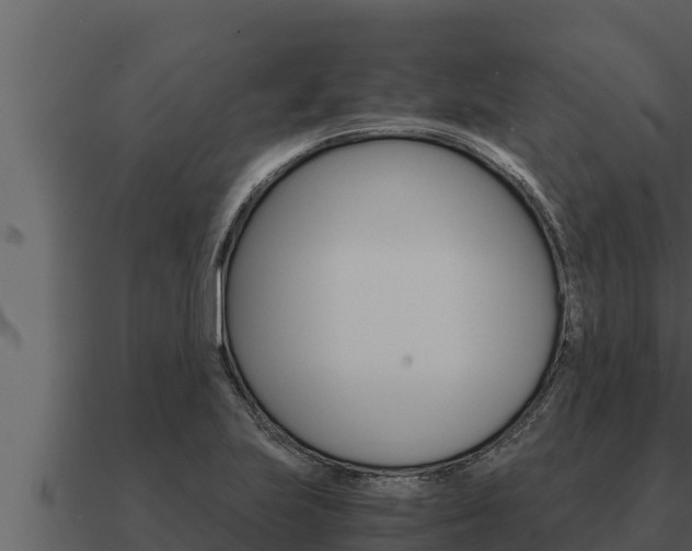 X0000091101223200708061015