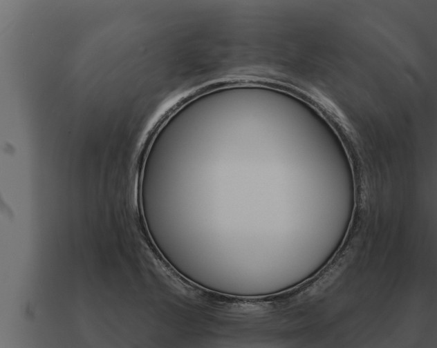 X0000091101224200708061015