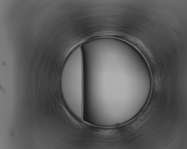 X0000091101225200708061015