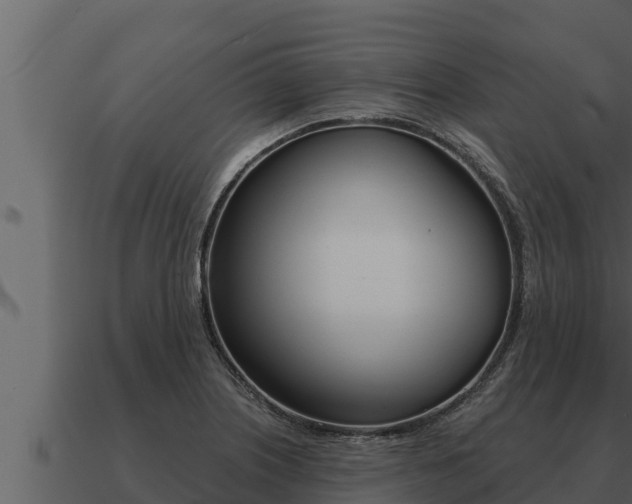 X0000091101226200708061015
