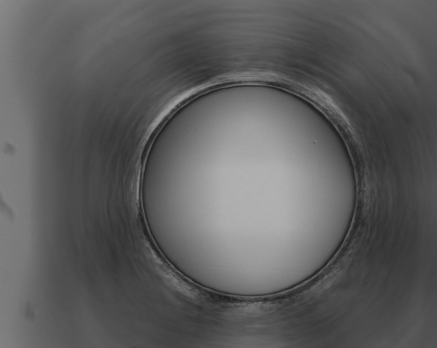 X0000091101228200708061015