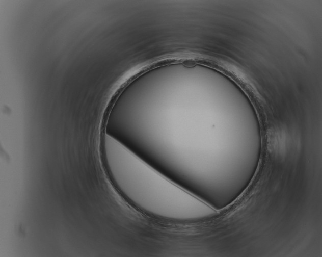 X0000091101229200708061015