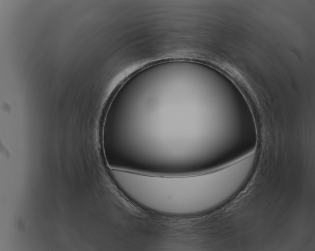 X0000091101230200708061015