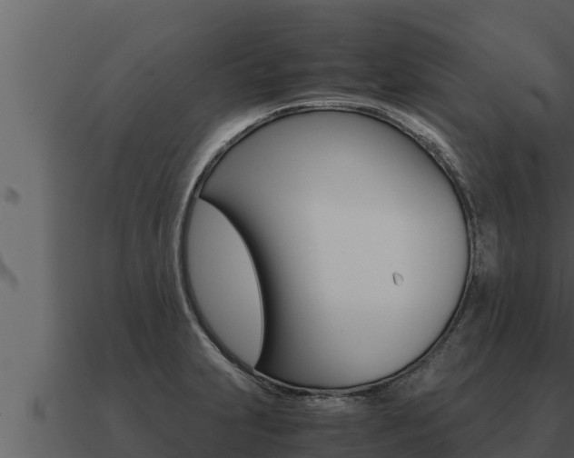 X0000091101231200708061015