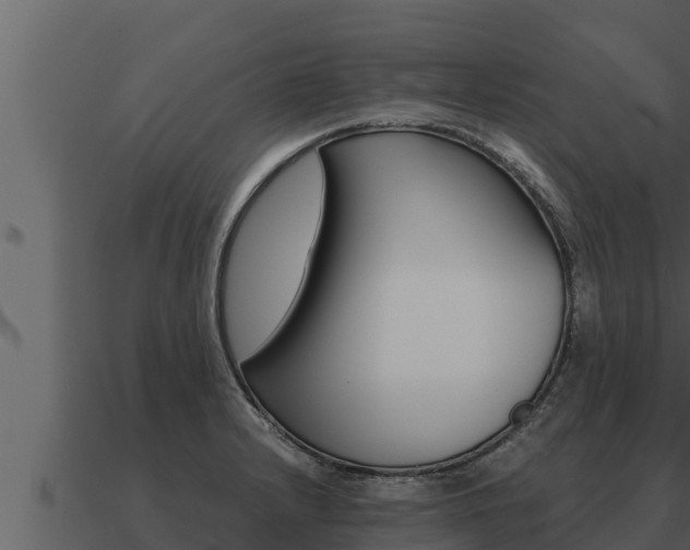 X0000091101232200708061015