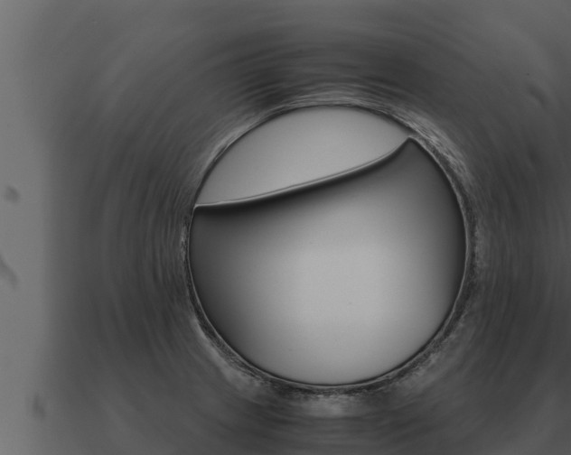 X0000091101233200708061015