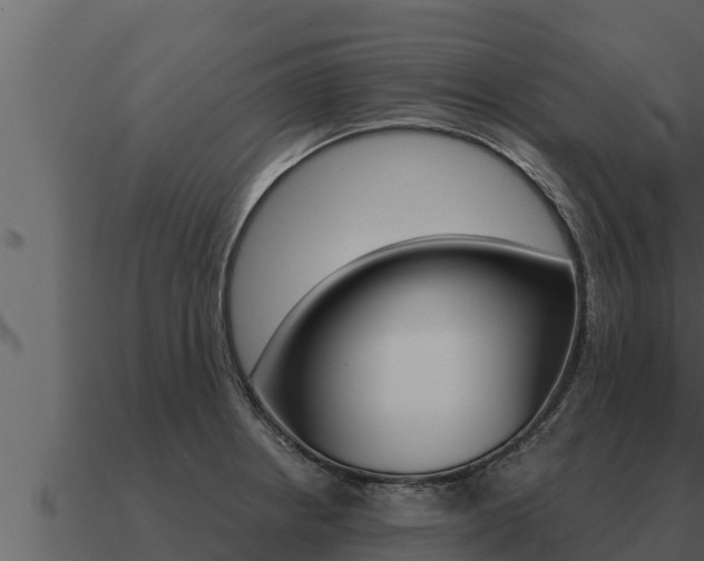 X0000091101234200708061015