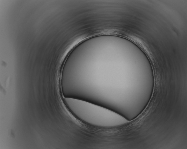 X0000091101235200708061015