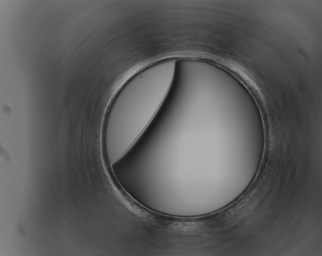 X0000091101237200708061015