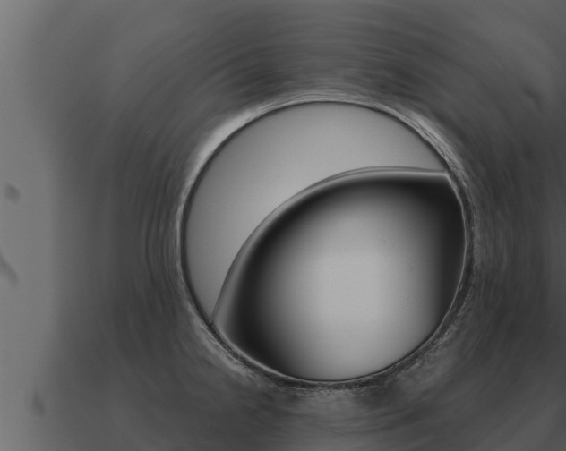 X0000091101238200708061015