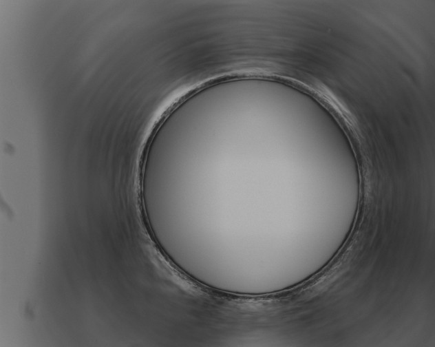 X0000091101240200708061015