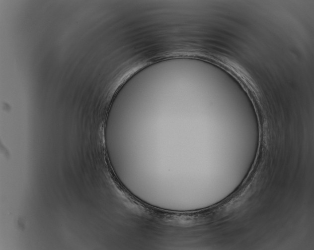 X0000091101241200708061015