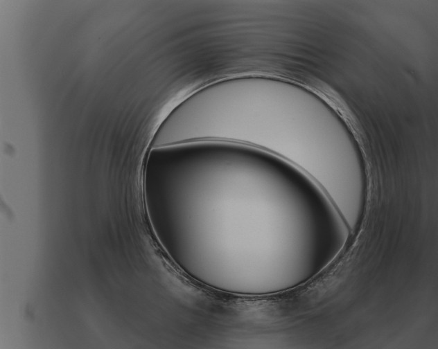 X0000091101242200708061015