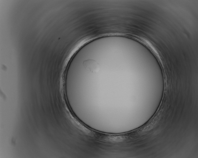 X0000091101243200708061015