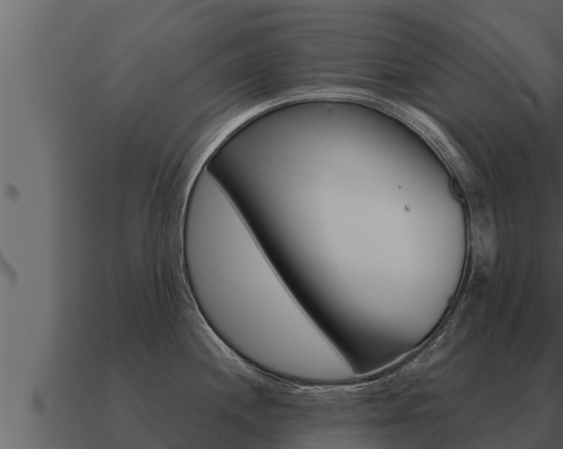 X0000091101244200708061015