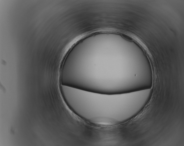 X0000091101245200708061015