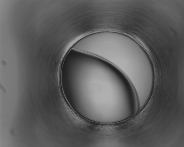 X0000091101246200708061015