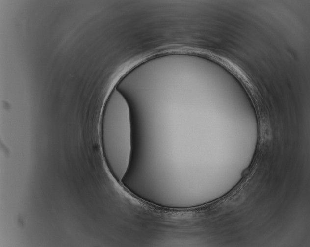 X0000091101247200708061015