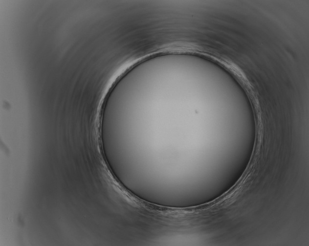 X0000091101248200708061015