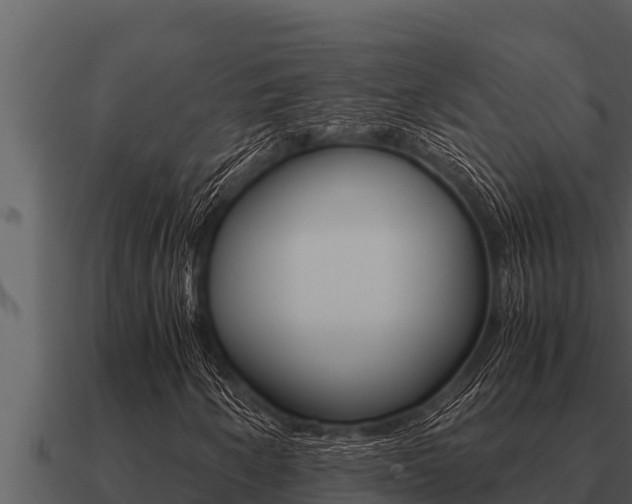 X0000091101250200708061014