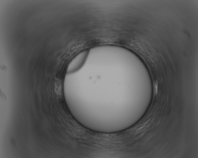 X0000091101251200708061014